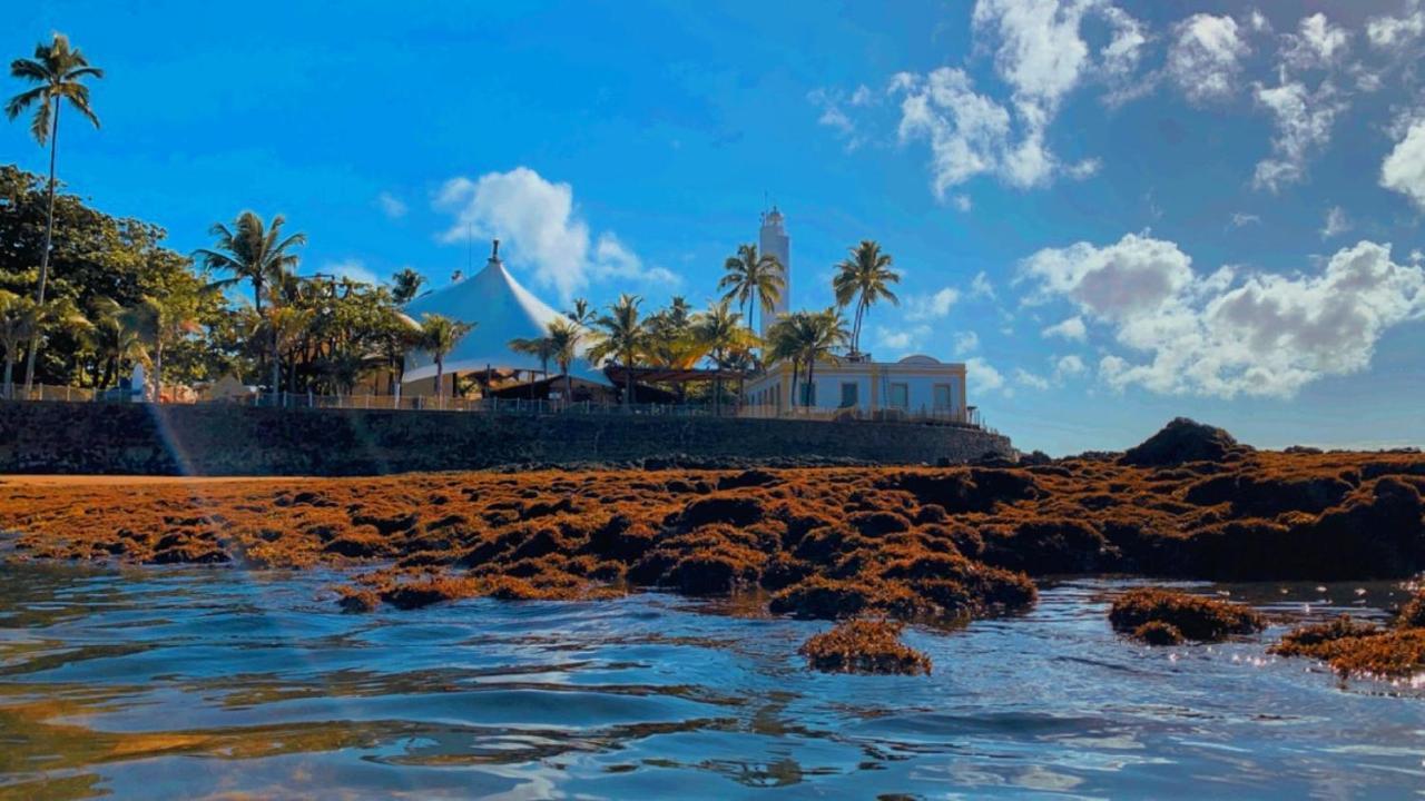Pousada Du'Forte Praia do Forte Kültér fotó